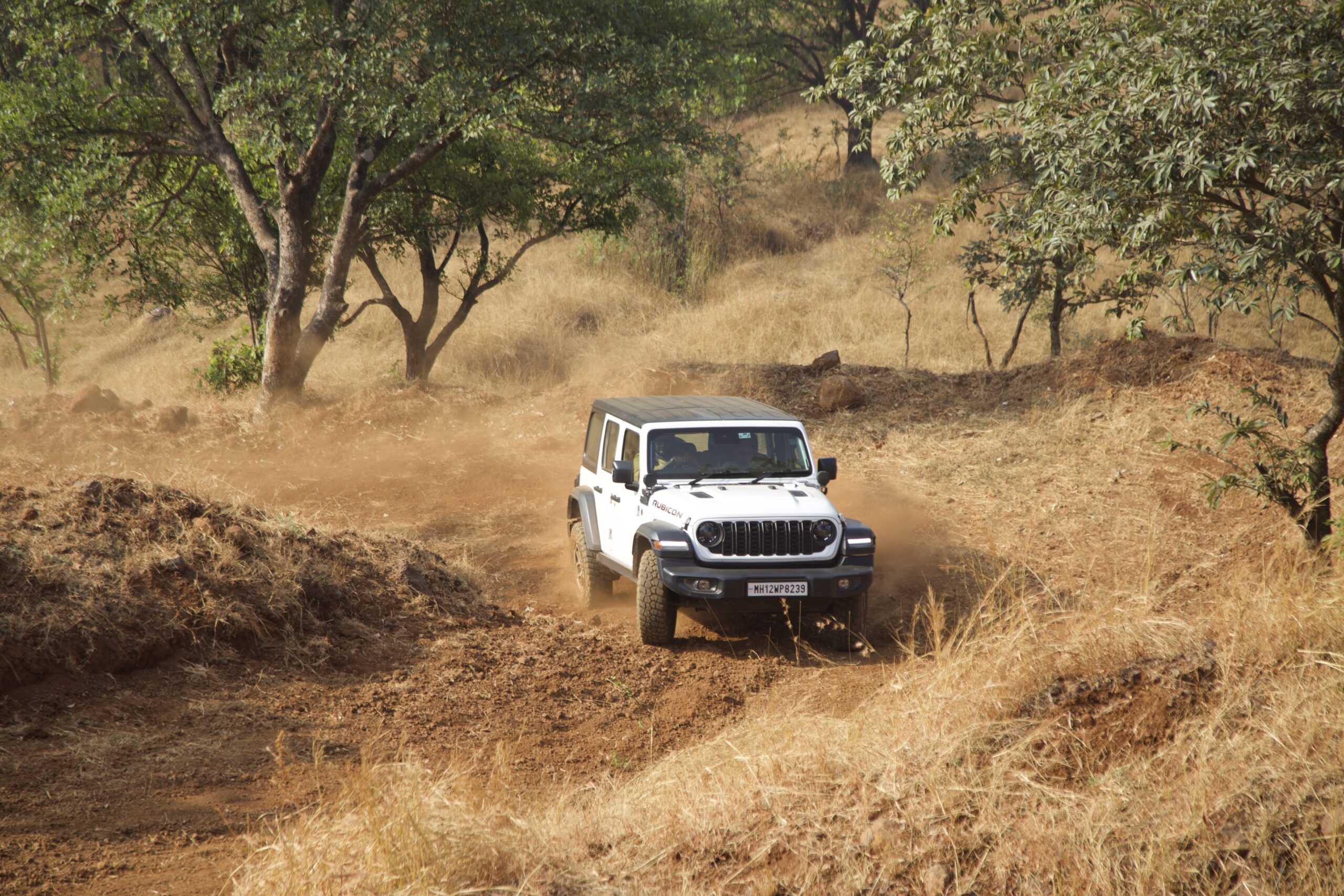 Jeep Wrangler Rubicon : Wild Instinct